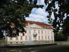 - Schloss Friedrichsfelde - von Bäumen umrankt