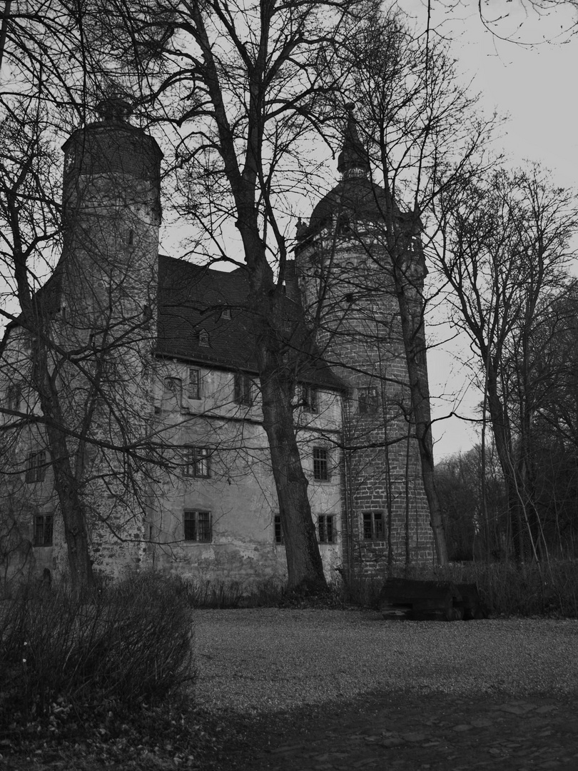 Schloss Fürstenau 2