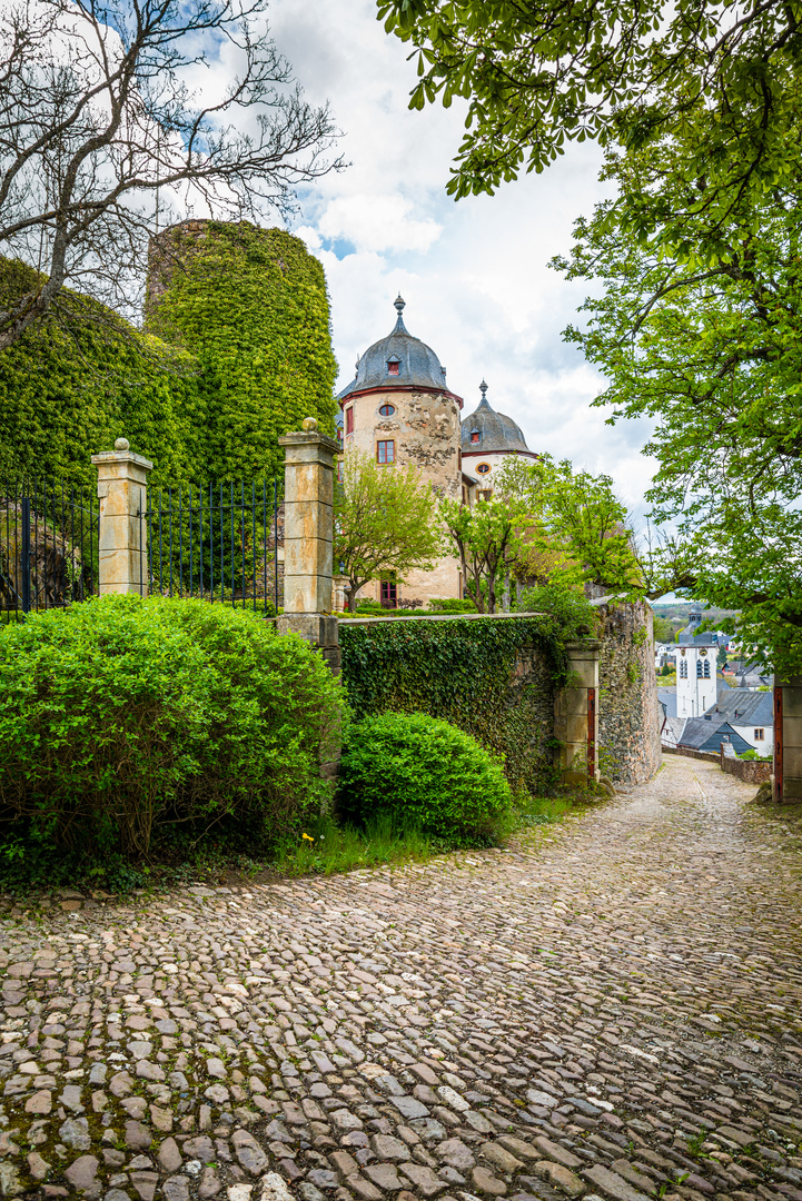 Schloss Gemünden 64