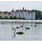 Schloß Glücksburg