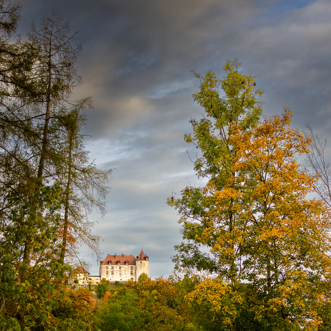 Schloss Greyerz im Herbs