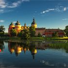 Schloß Gripsholm