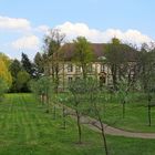 Schloss Großkühnau