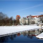 schloss güstrow (3)