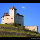 Schloss Gutenberg, FL-9496 Balzers, Liechtenstein