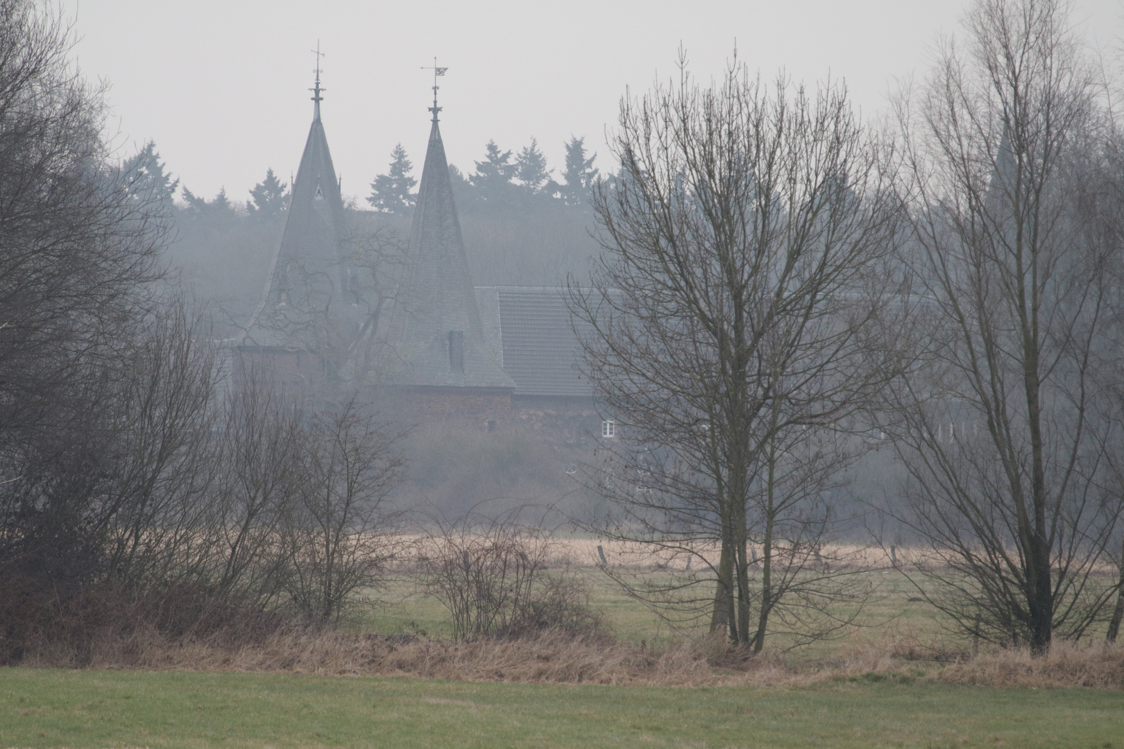 Schloß Haag im Nebel