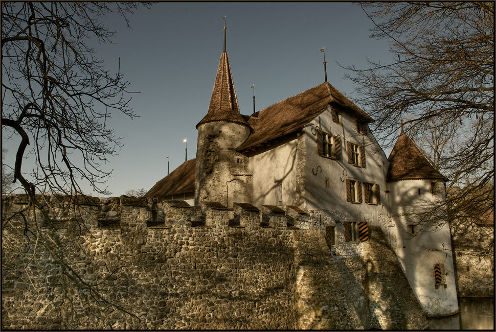 *Schloss Hallwil*