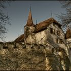 *Schloss Hallwil*