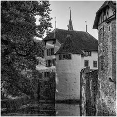 Schloss Hallwyl