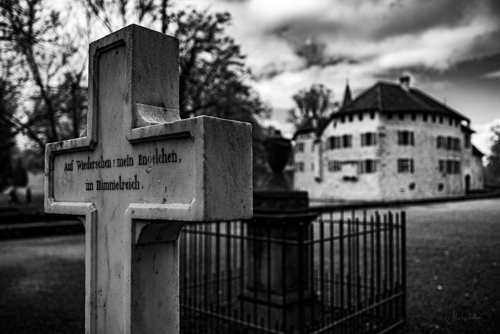 Schloss Hallwyl, Seengen