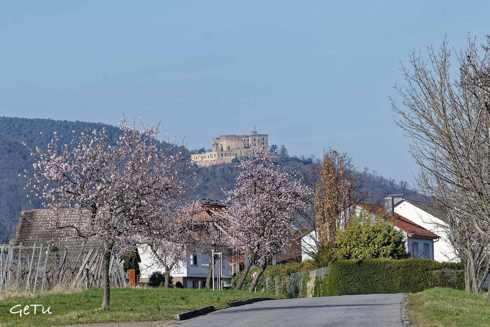 Schloss Hambach an der Südlichen Weinstrasse