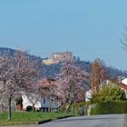 Schloss Hambach an der Südlichen Weinstrasse