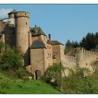 Schloss Hamm in der Eifel...