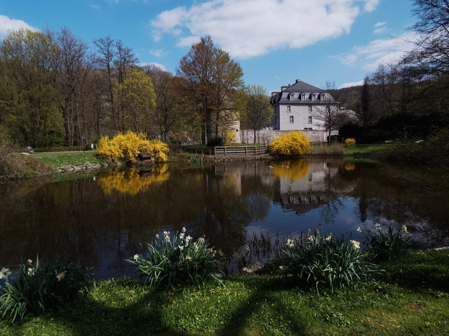 Schloss Hardenberg