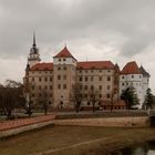 Schloss Hartenfels (2)