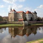 Schloss Hartenfels in Torgau