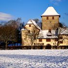 Schloss Hegi (Winterthur)
