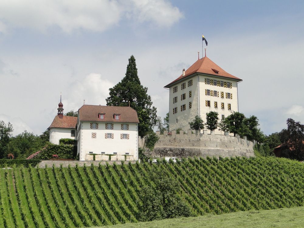 Schloss Heidegg ( CH )