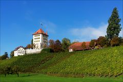 Schloss Heidegg