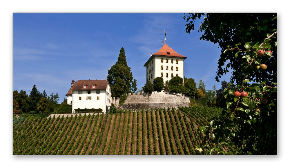 Schloss Heidegg / Gelflingen