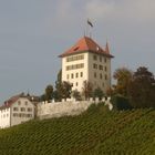 Schloss Heidegg im Luzerner Seetal (CH)