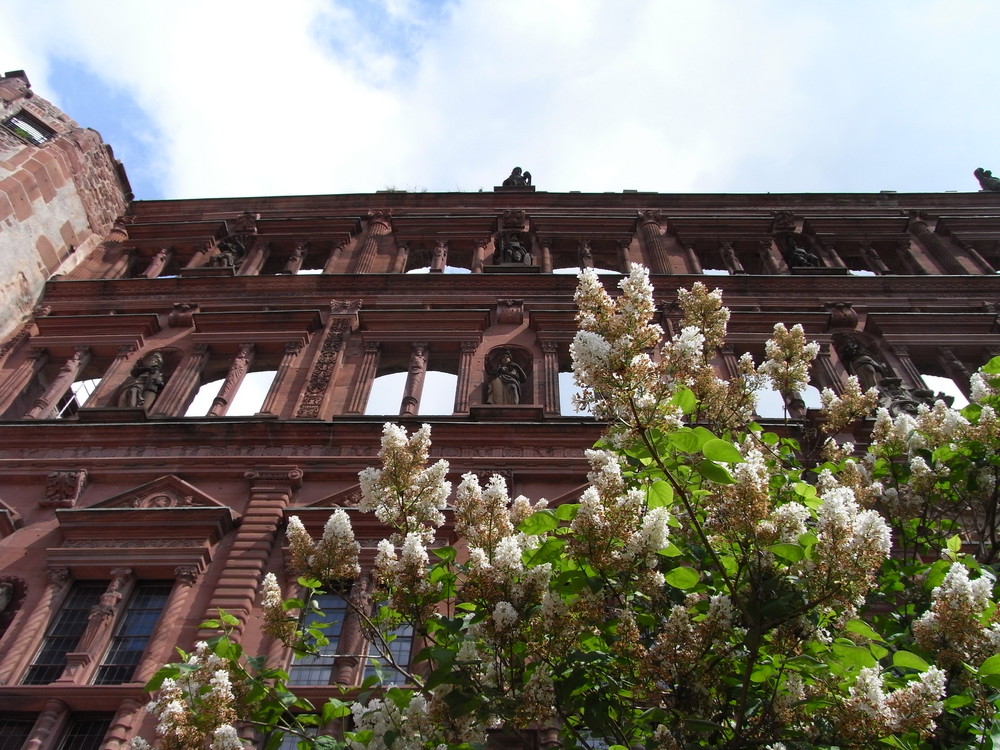 Schloß Heidelberg