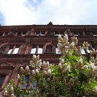 Schloß Heidelberg