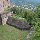 Schloss Heidelberg