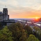 Schloss Heidelberg