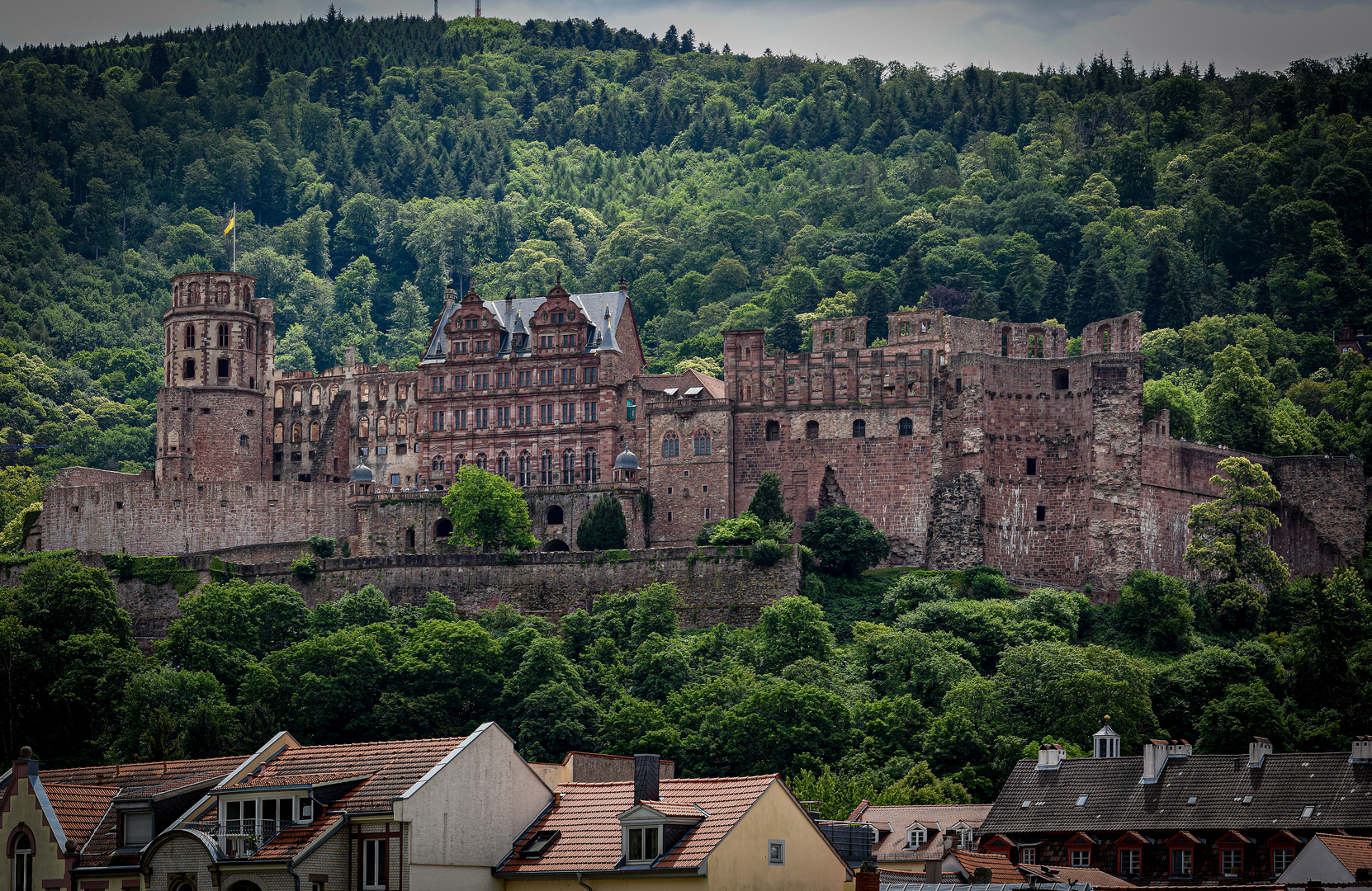 Schloss Heidelberg