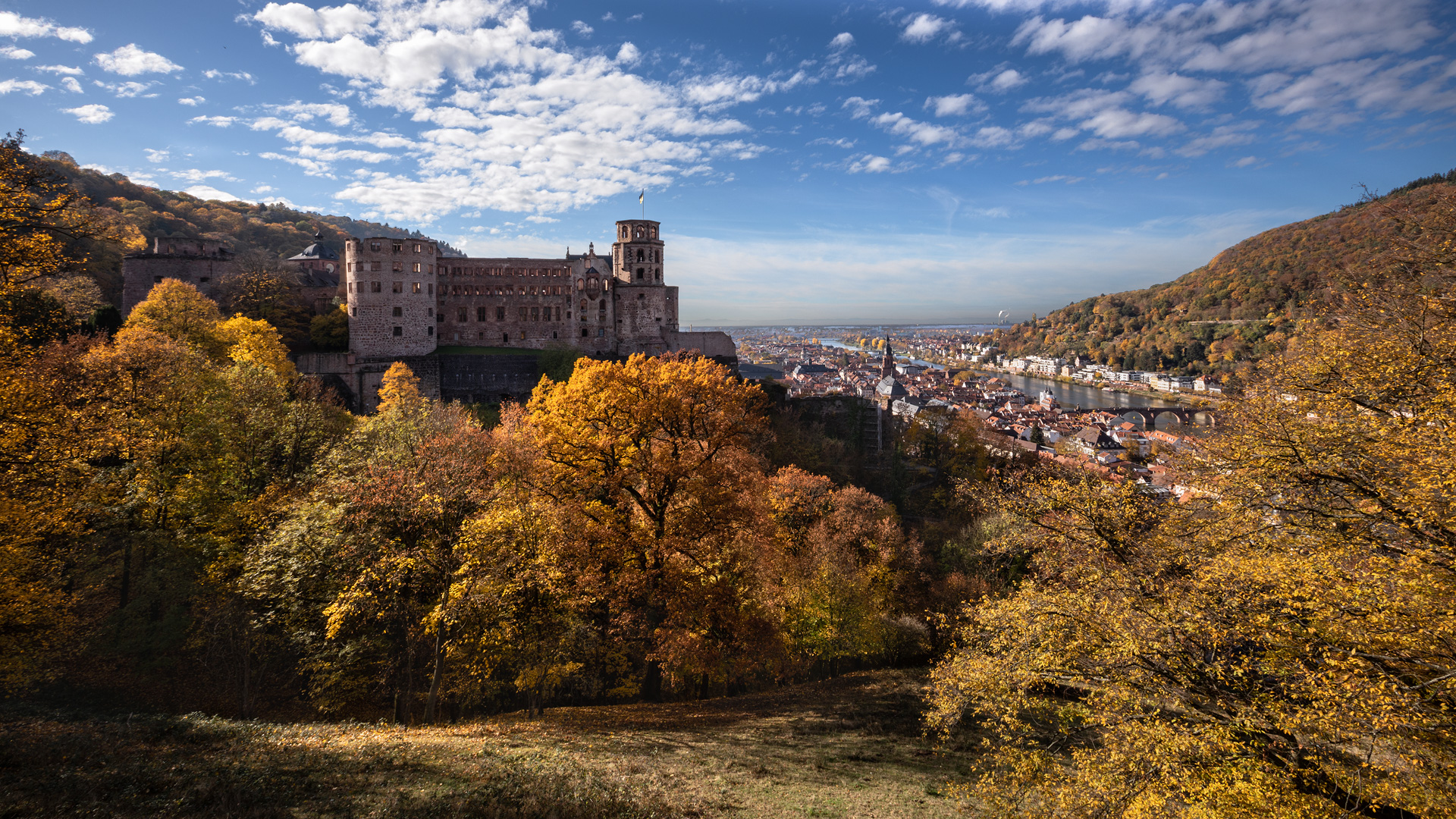 Schloss Heidelberg