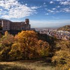 Schloss Heidelberg