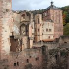 Schloss Heidelberg 