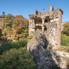 Schloss Heidelberg 