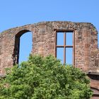 Schloss Heidelberg