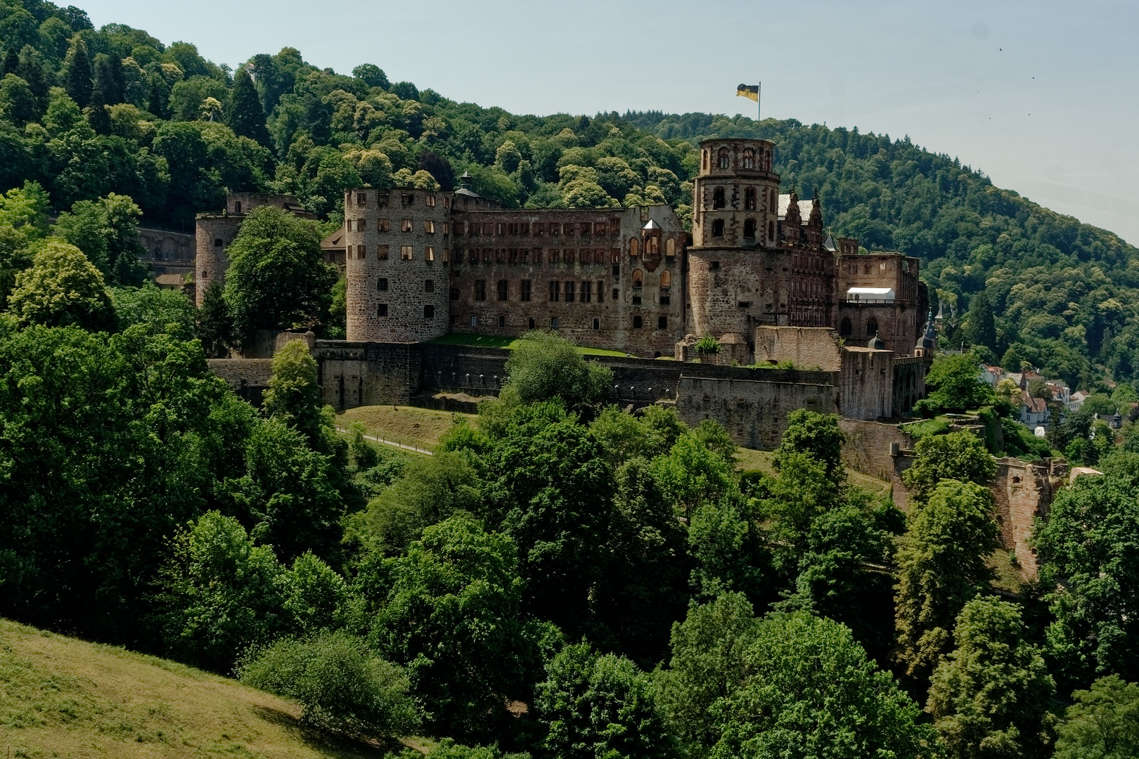 Schloss Heidelberg