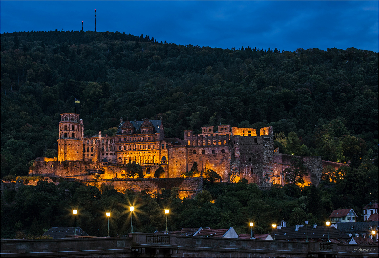 Schloß Heidelberg 2015-01