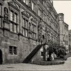 Schloss Heidelberg 4