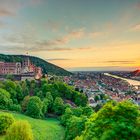 schloss heidelberg