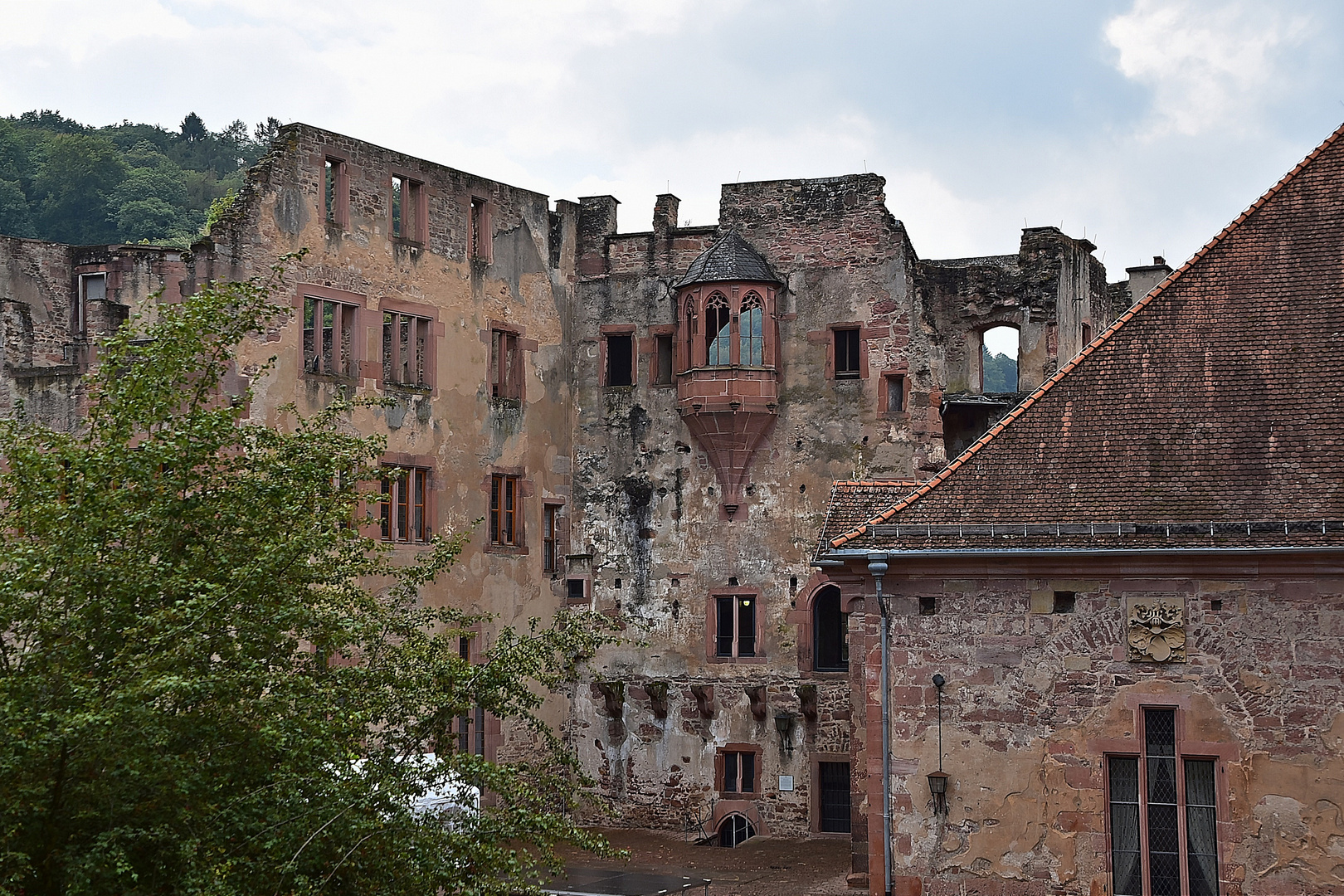 Schloss Heidelberg