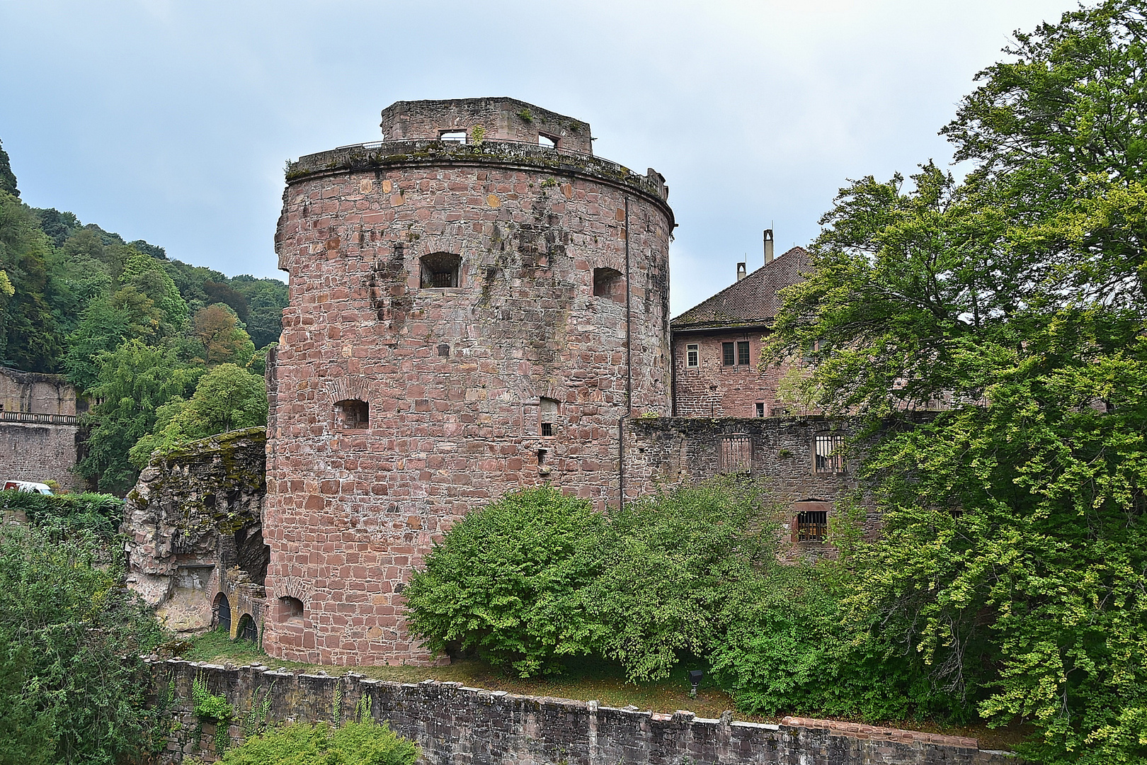 Schloss Heidelberg