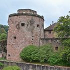 Schloss Heidelberg