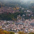 Schloss Heidelberg