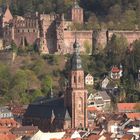 Schloß Heidelberg