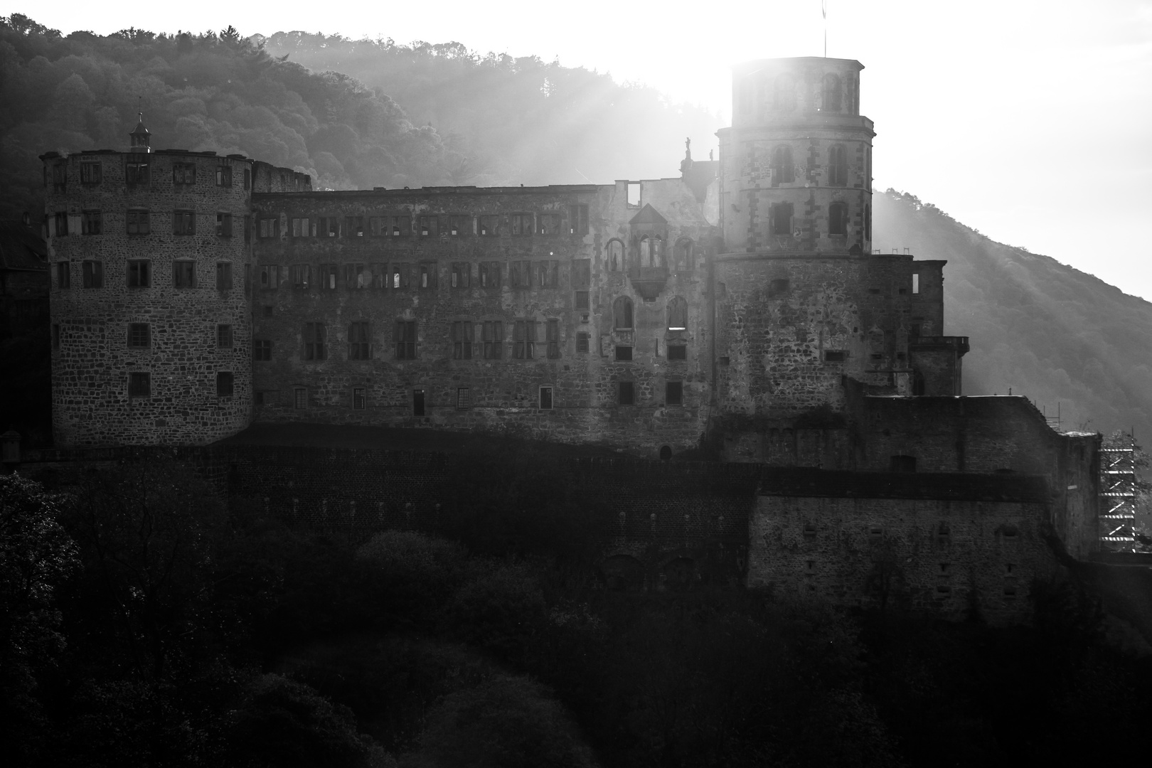 Schloss Heidelberg