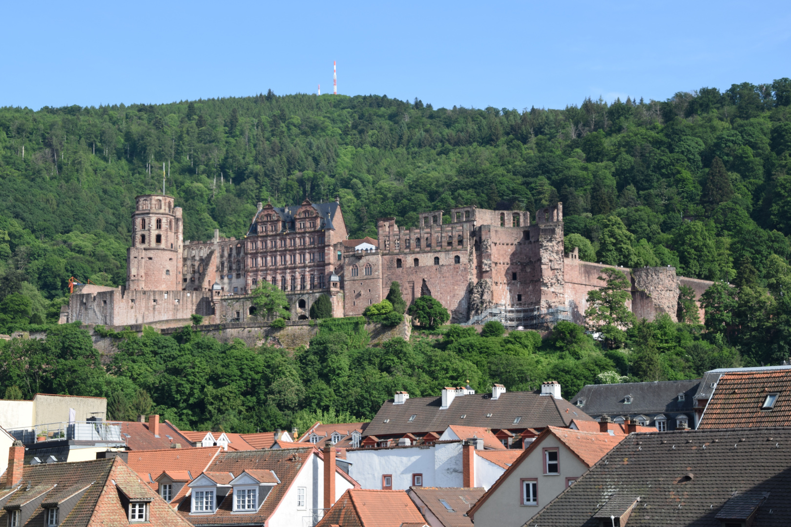 Schloss Heidelberg