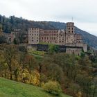 Schloss Heidelberg