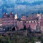  Schloss Heidelberg