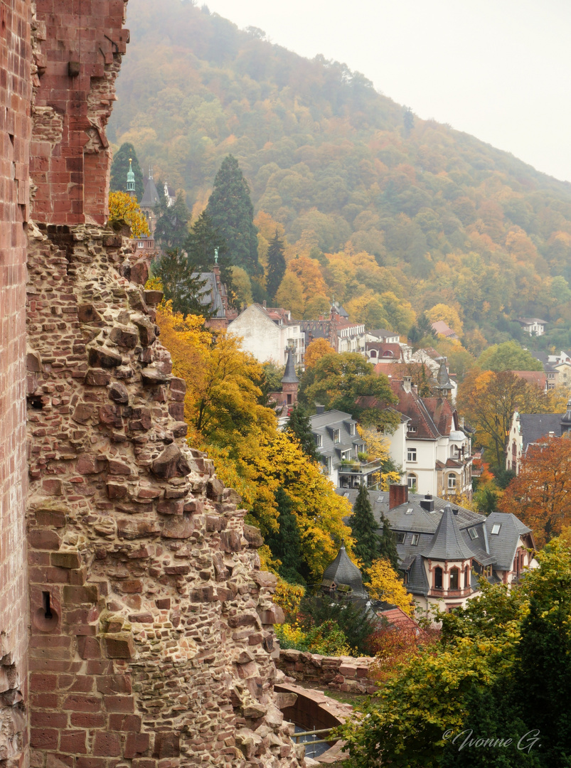 Schloss Heidelberg