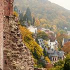 Schloss Heidelberg